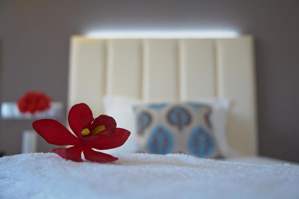 Hotel Azinheira By Ridan Hotels Fatima Phòng bức ảnh