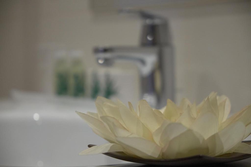 Hotel Azinheira By Ridan Hotels Fatima Phòng bức ảnh